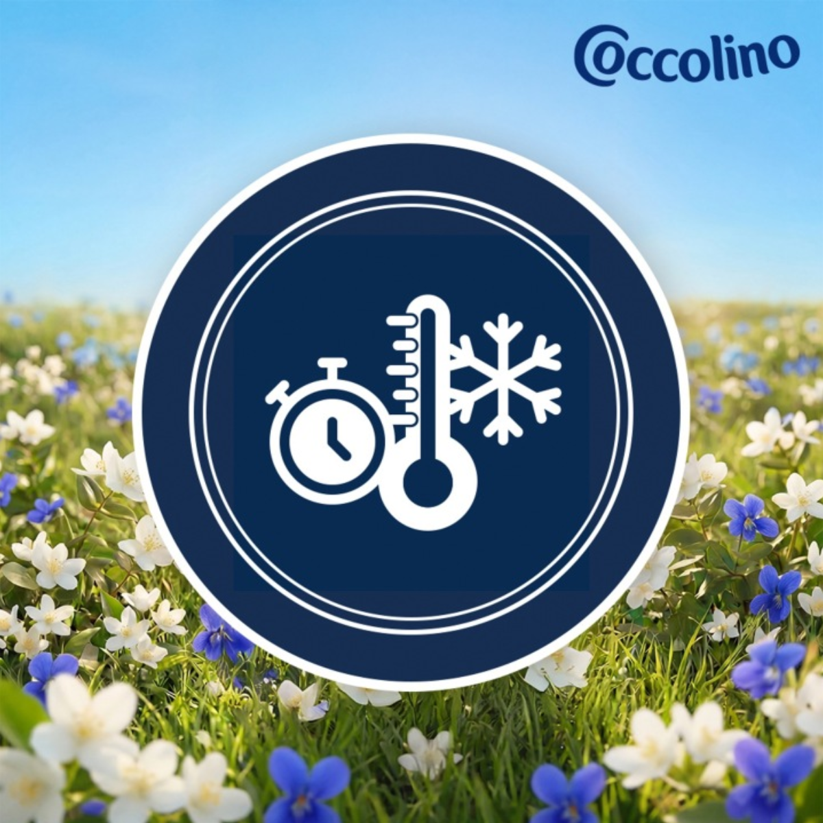 Coccolino Perfume & Care Passion Flower & Bergamot 2875ml