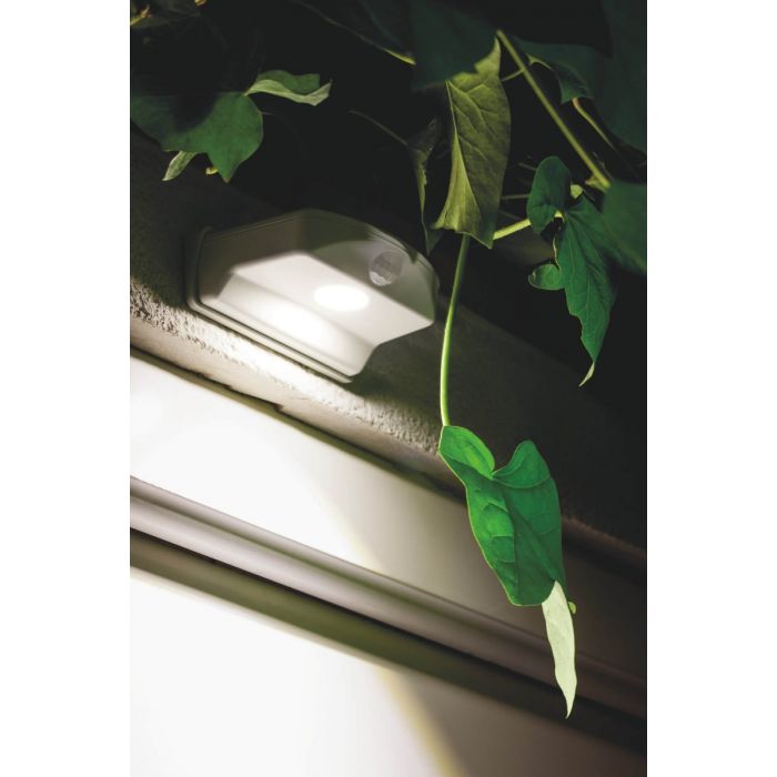 Ledvance Lamp Noc Bat DOORLED C+R