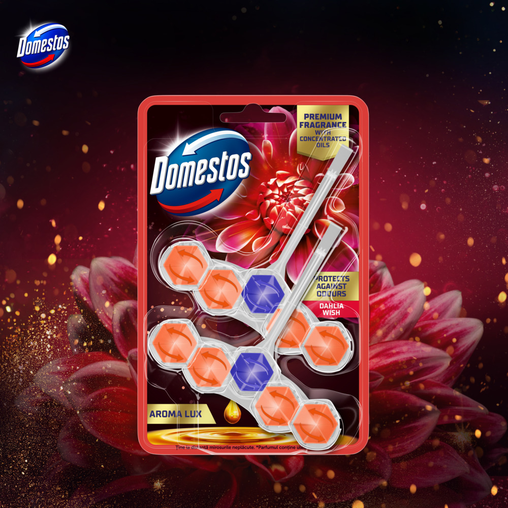 Domestos Kostka Aroma Dahlia 2x50g