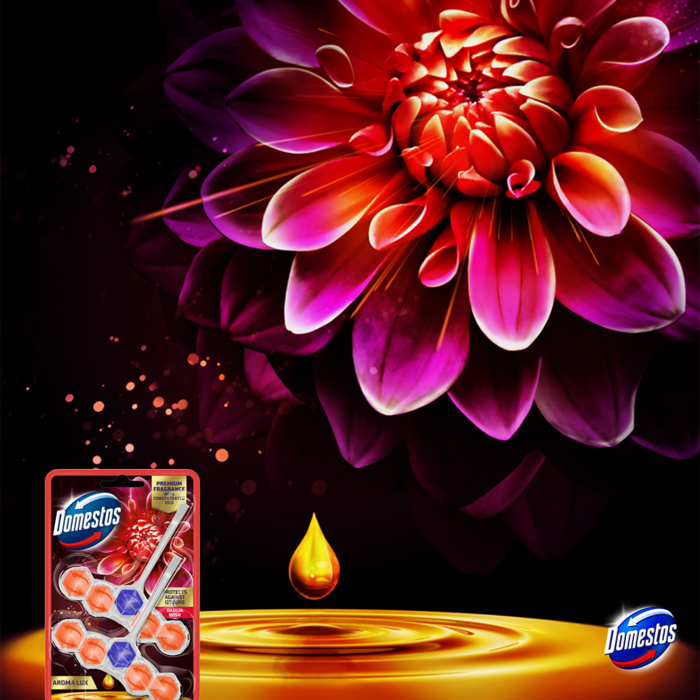 Domestos Kostka Aroma Dahlia 2x50g