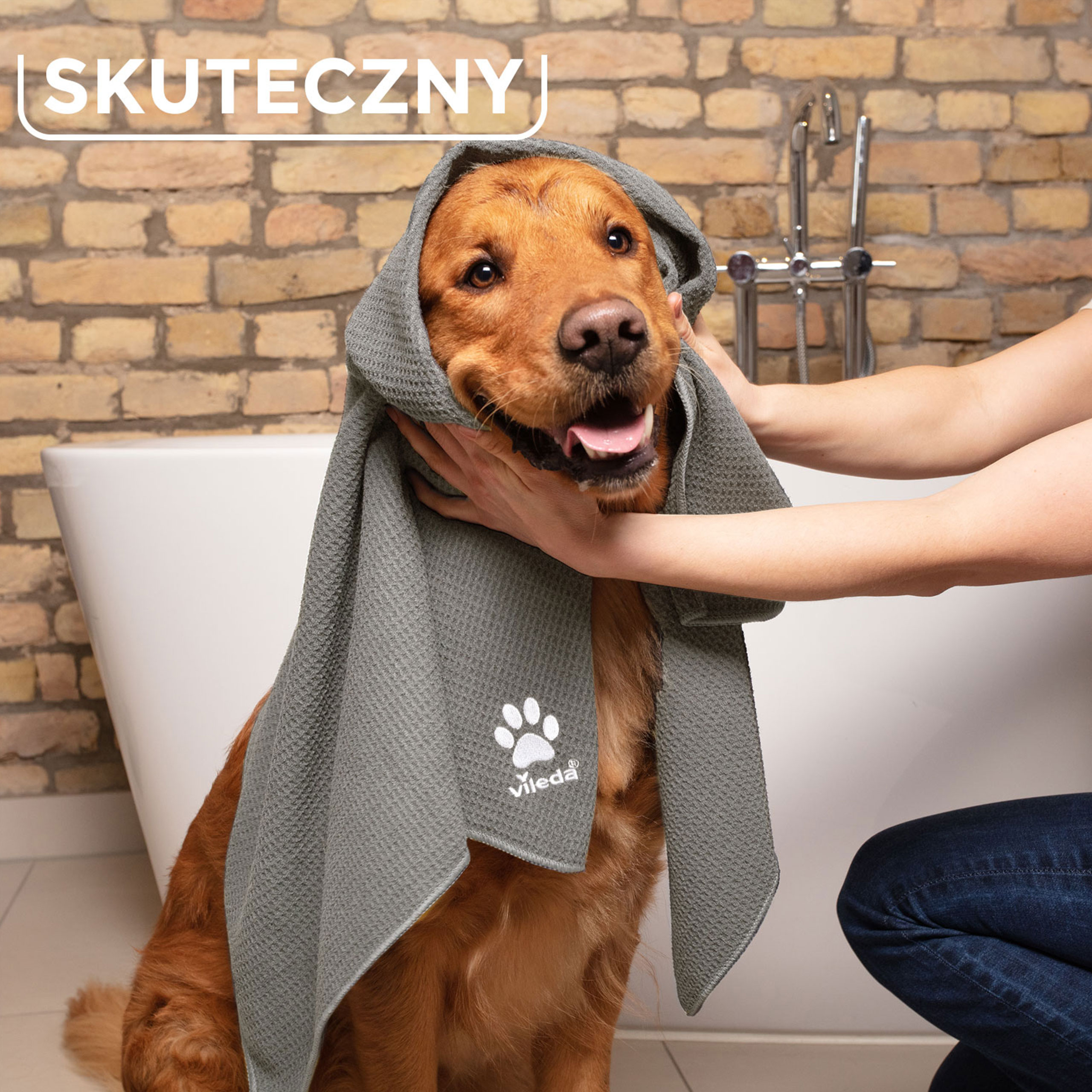 Vileda Zestaw Pet Pro Ręcznik XL Szczotka Always Clean Szczotka Elektrostatyczna