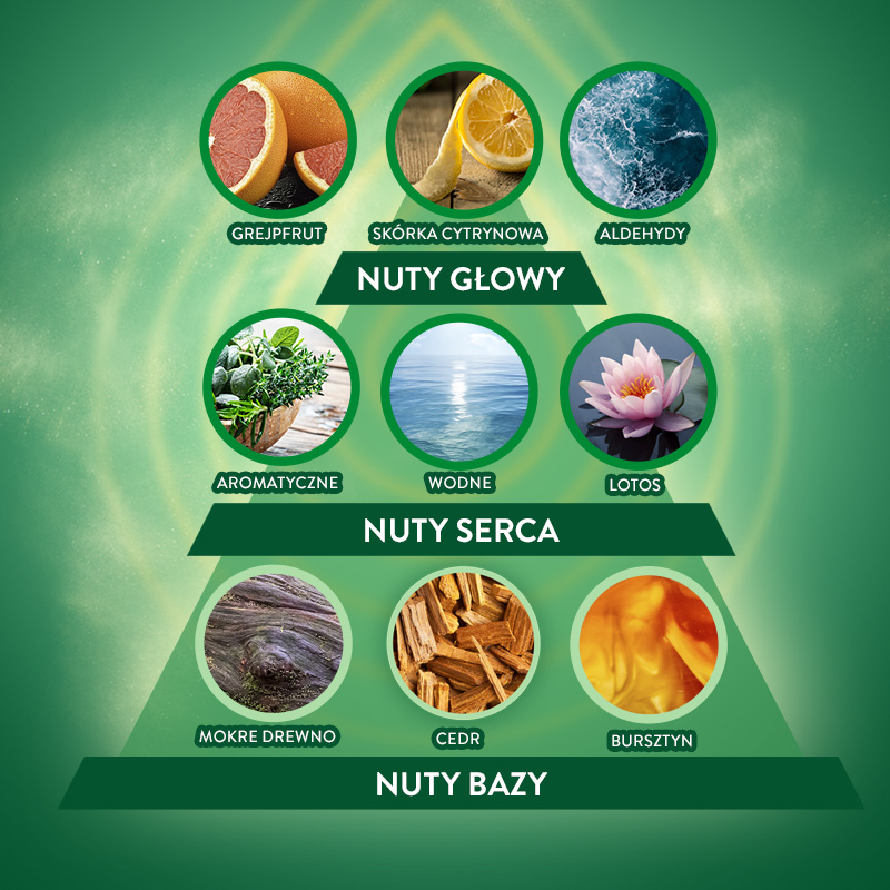Air Wick Active Fresh Odświeżacz Wkład MIX 228ml x3