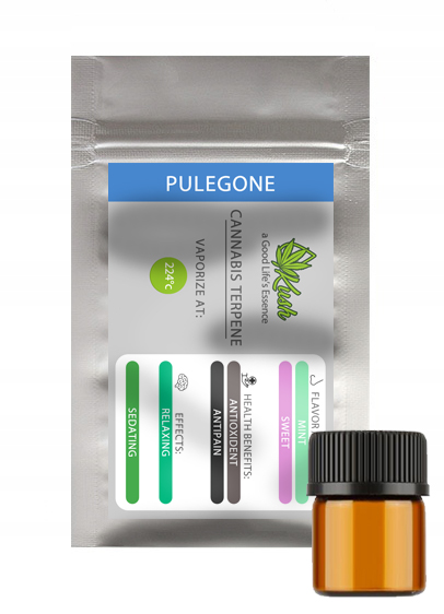 MONOTERPEN PULEGONE