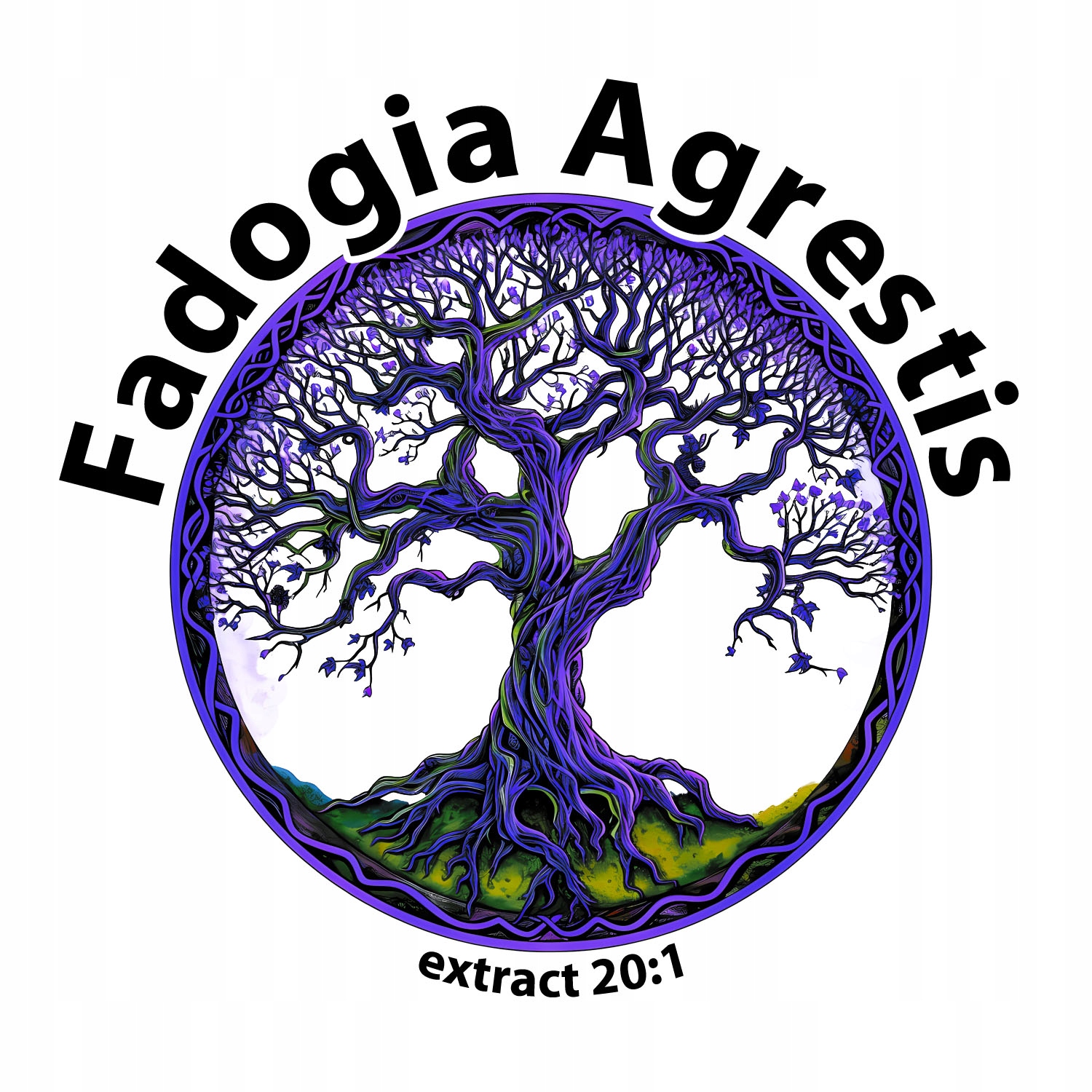 Fadogia Agrestis ekstrakt