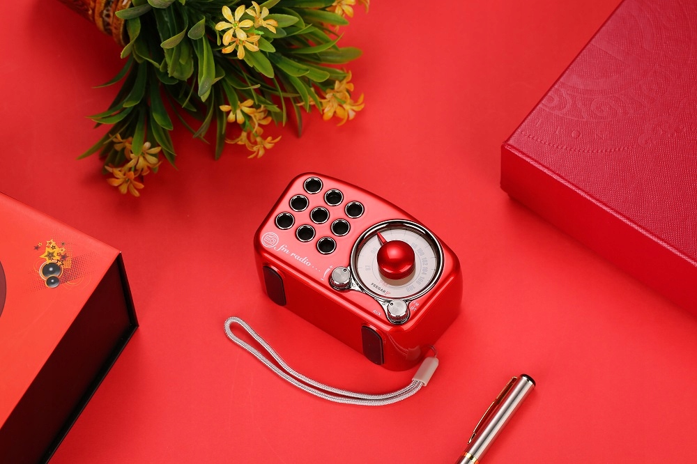 Feegar Głośnik Bluetooth Przenośny Radio Fm Aux Sd