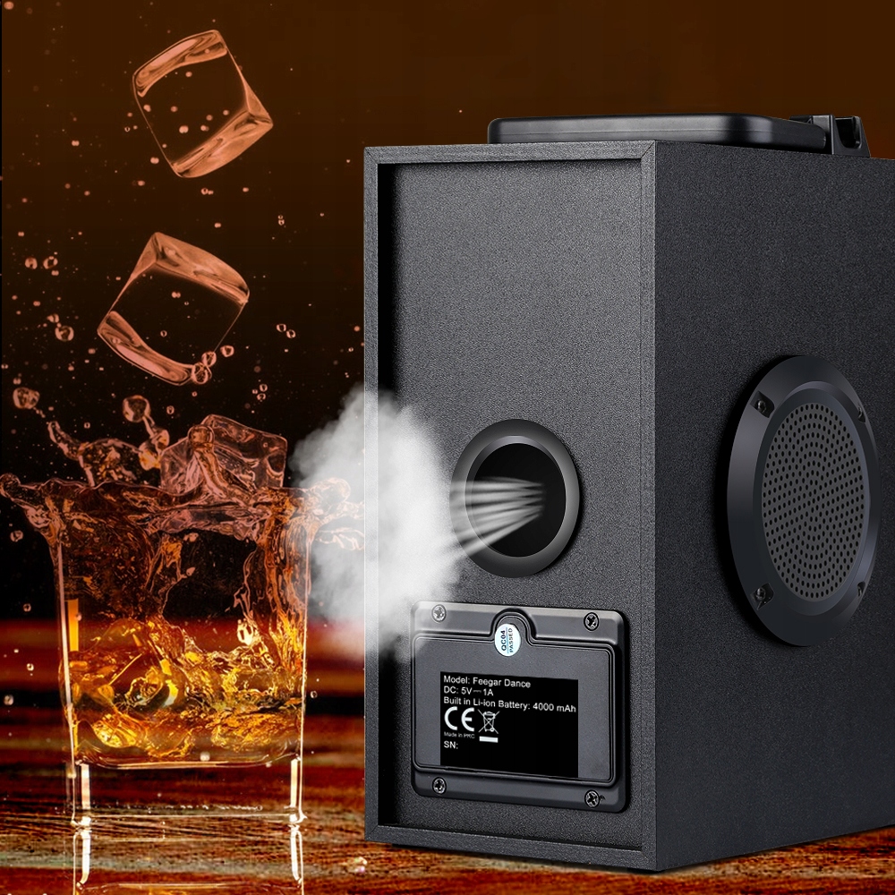 Głośnik Bluetooth Feegar Radio Kuchenne Fm Usb Sd