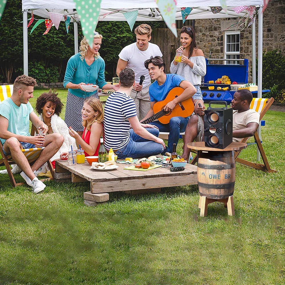 Feegar Głośnik Bezprzewodowy Bt 5.0 10H Radio Aux