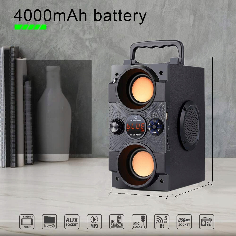 Feegar Głośnik Bezprzewodowy Bt 5.0 10H Radio Aux