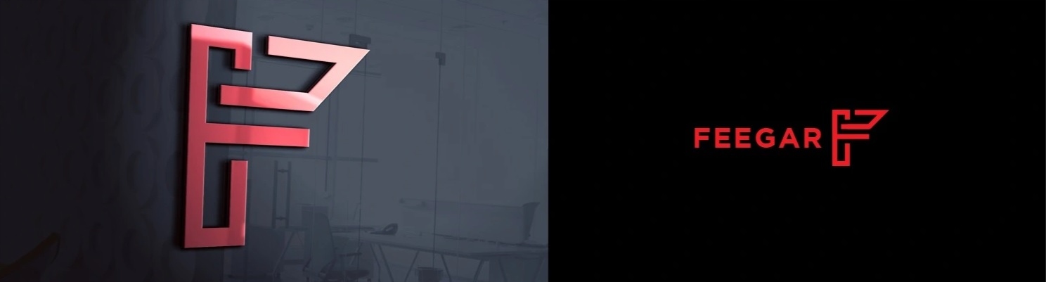 Feegar Q200 Pro Transmiter Zestaw Głośnomówiący Bt