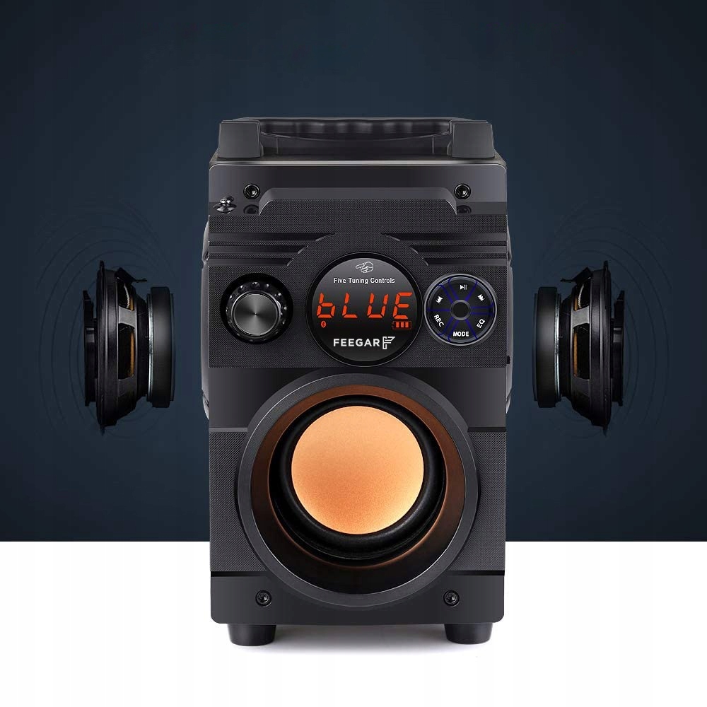 Przenośny Głośnik Bluetooth Feegar Karaoke Mikrofo