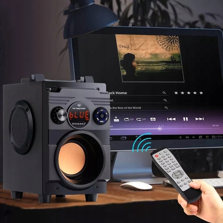 Przenośny Głośnik Bluetooth Feegar Karaoke Mikrofo