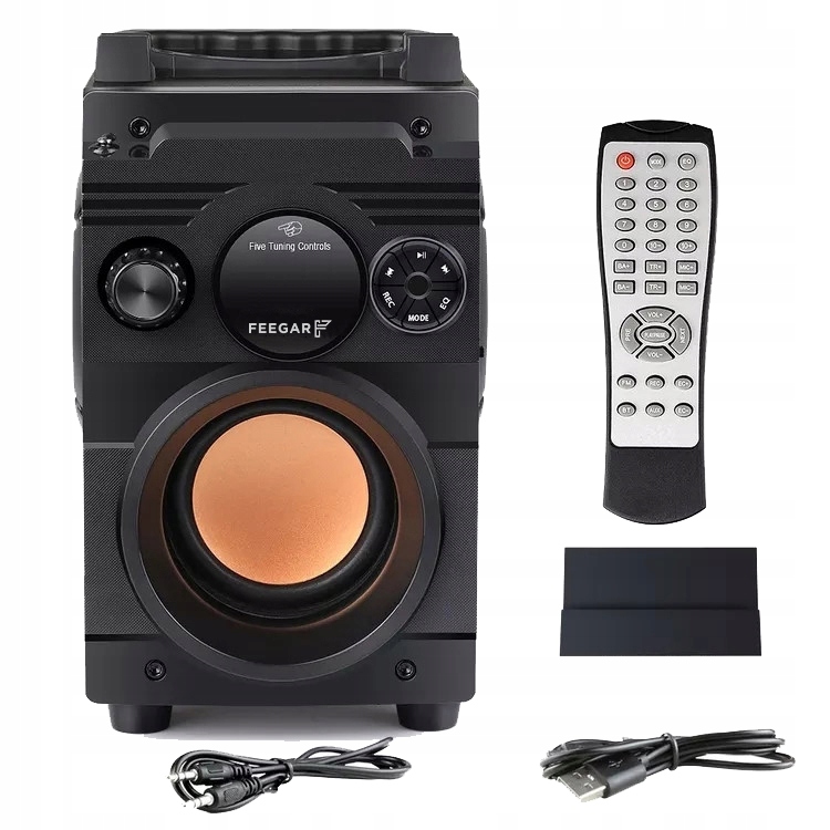 Przenośny Głośnik Bluetooth Feegar Karaoke Mikrofo