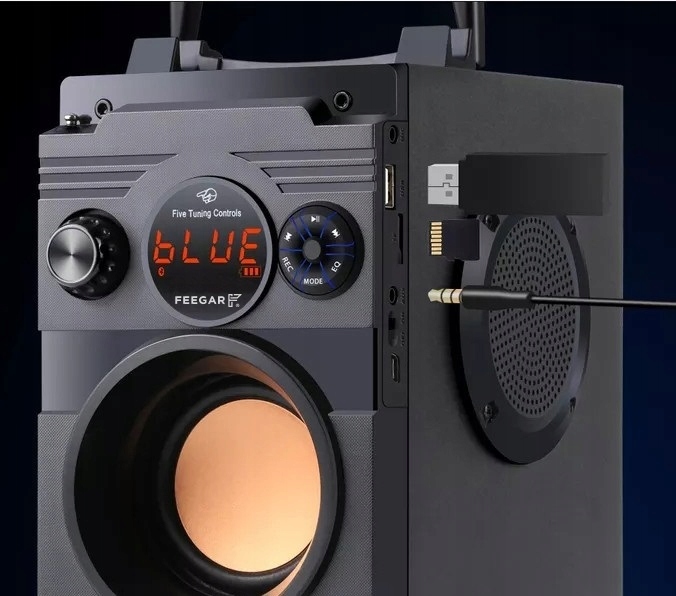 Przenośny Głośnik Bluetooth Feegar Karaoke Mikrofo