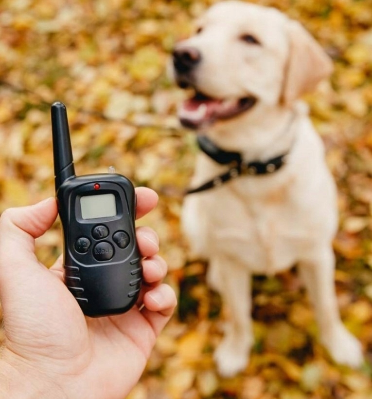 Elektryczna OBROŻA treningowa dla psa pilot 300m