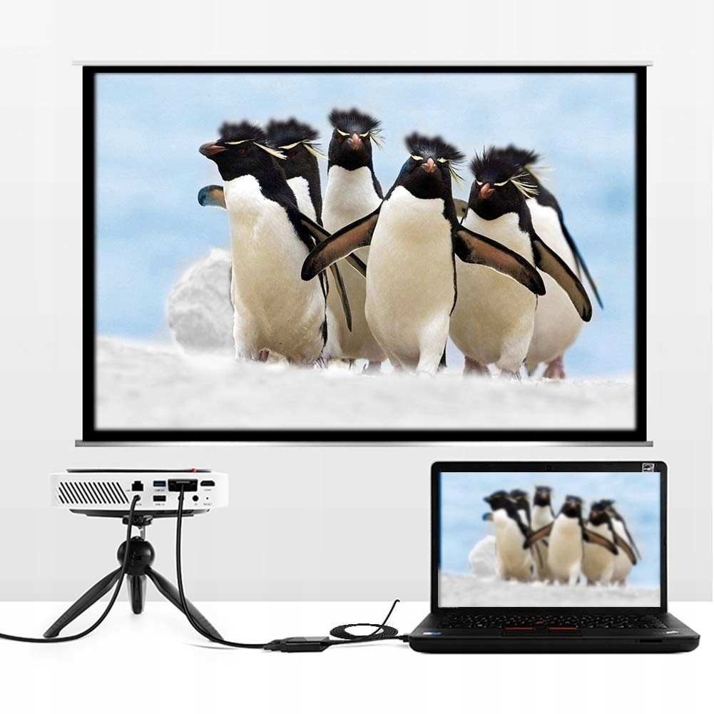 Kabel DisplayPort do HDMI DP 1,8m
