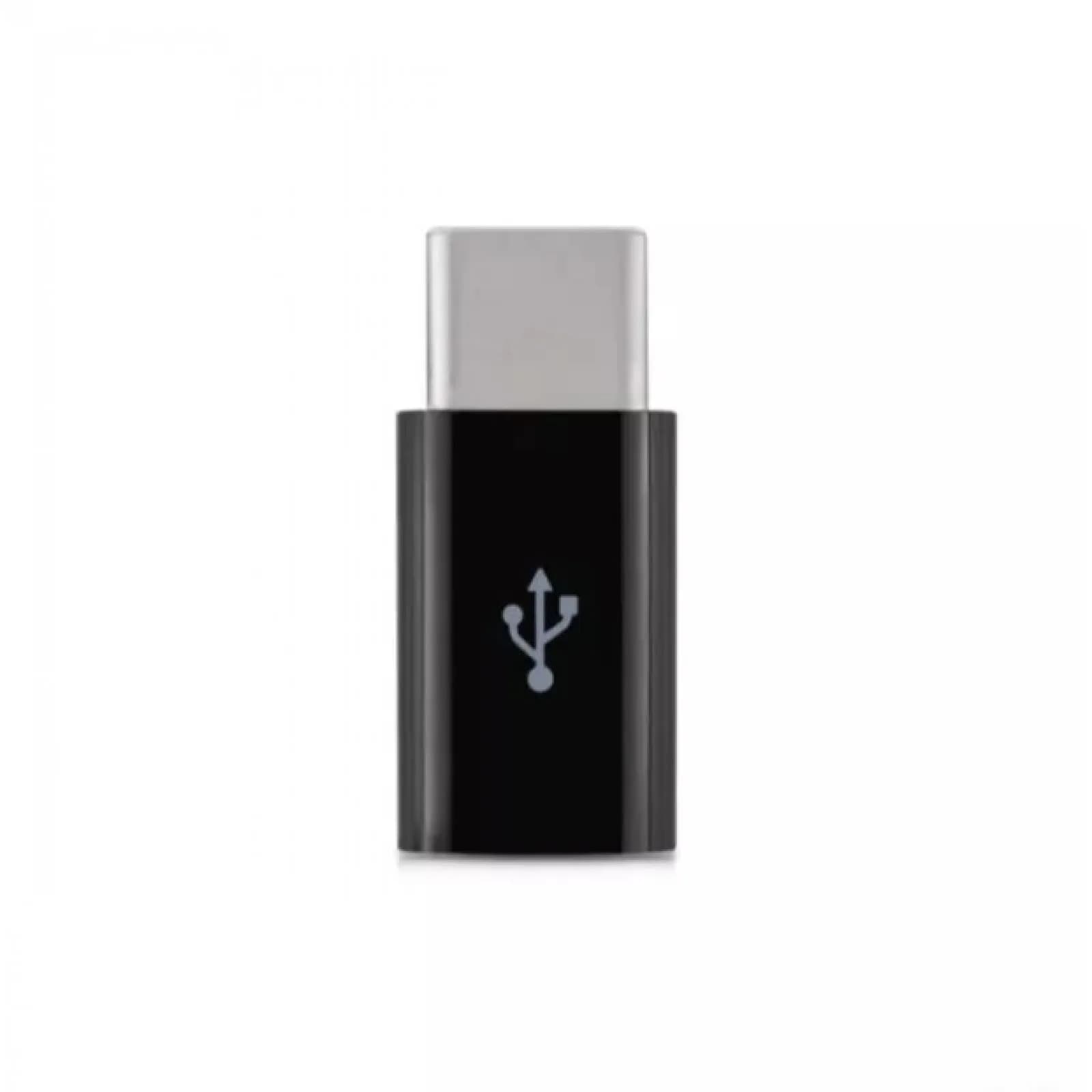 ProRock Black Micro to Type-C Charger Adapter