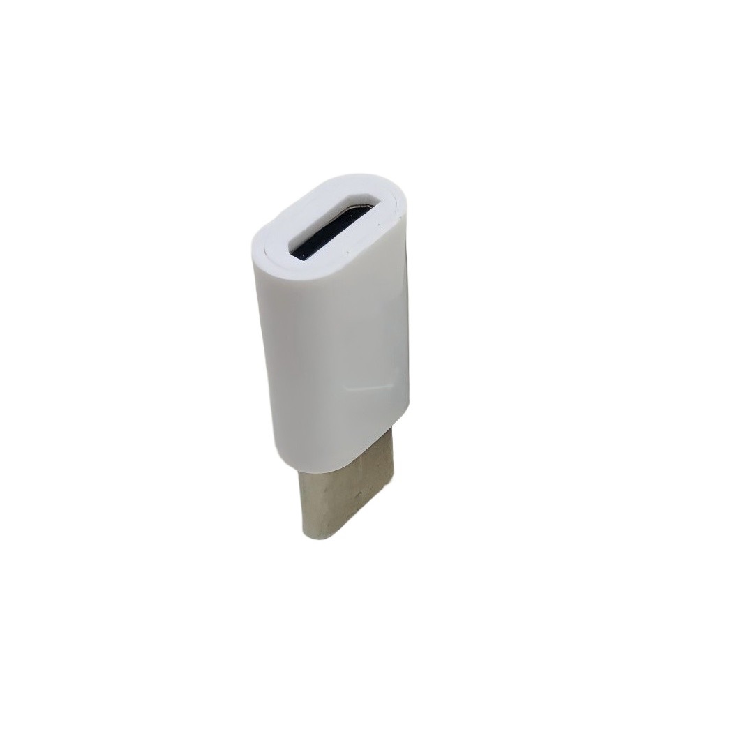ProRock White Micro to Type-C Charger Adapter