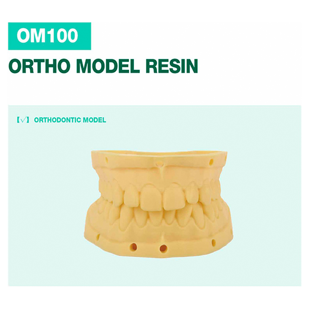 OM100 Ortho Model Resin Beige (new)