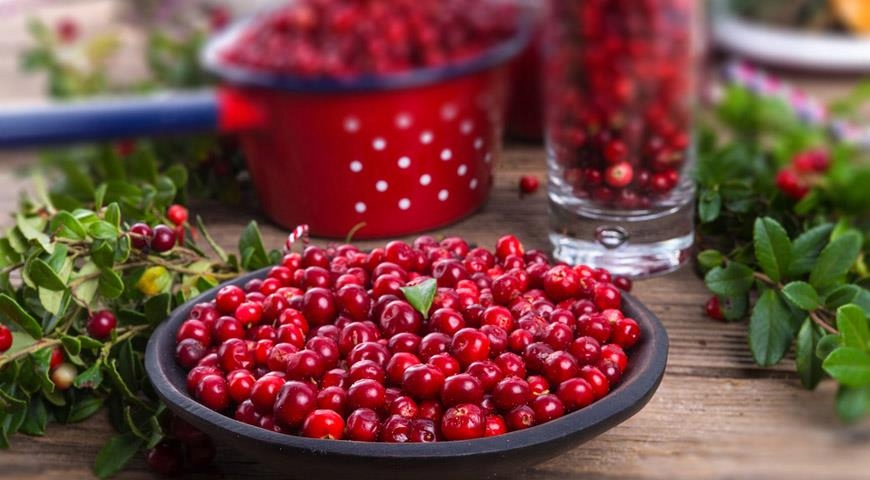 Borówka BRUSZNICA leczniczy OWOC na NALEWKĘ pyszna