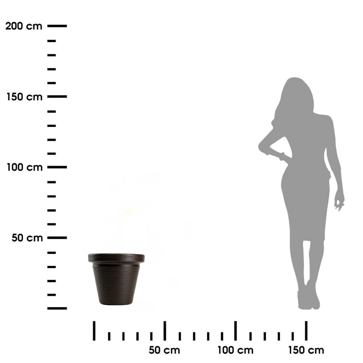 92ac759e68fd02a4ec70d927d4933ece.jpg