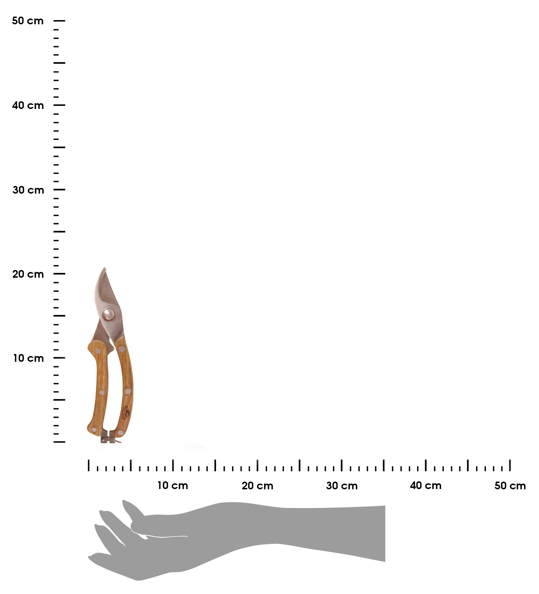 a99ab03ad8db07b3e7160f70dcc311c0.jpg