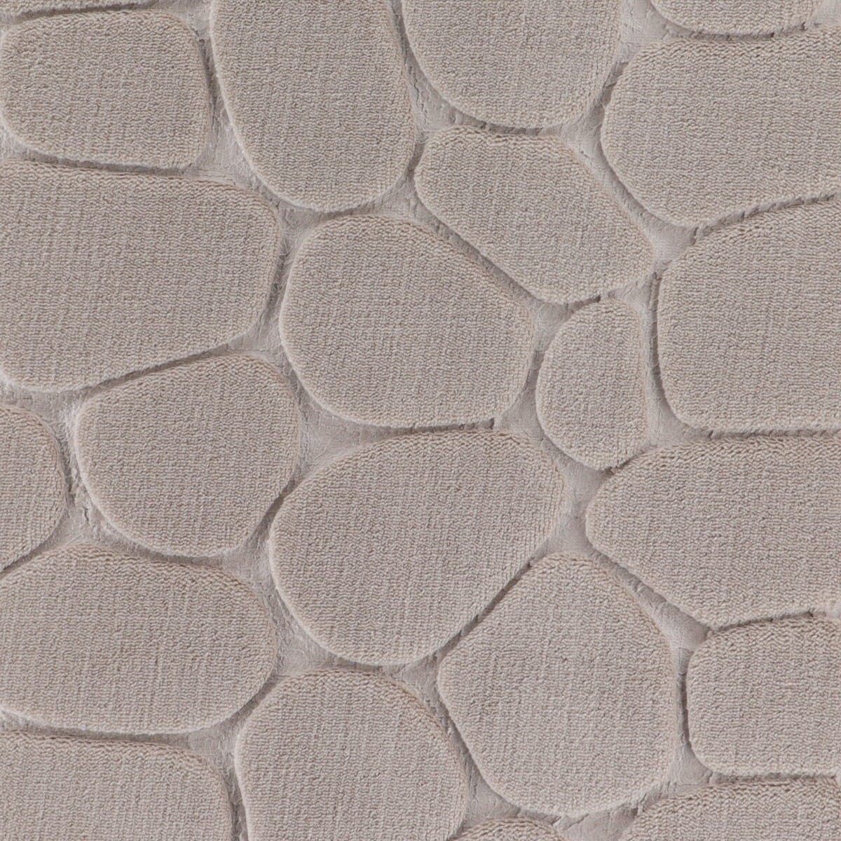 fbc93720263c4485b5597a813b756438.jpg