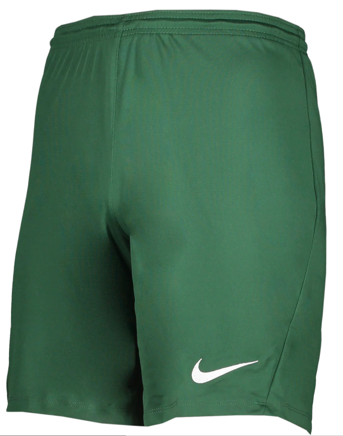 Zielone spodenki męskie Nike Dry Park III Slim Fit M przód