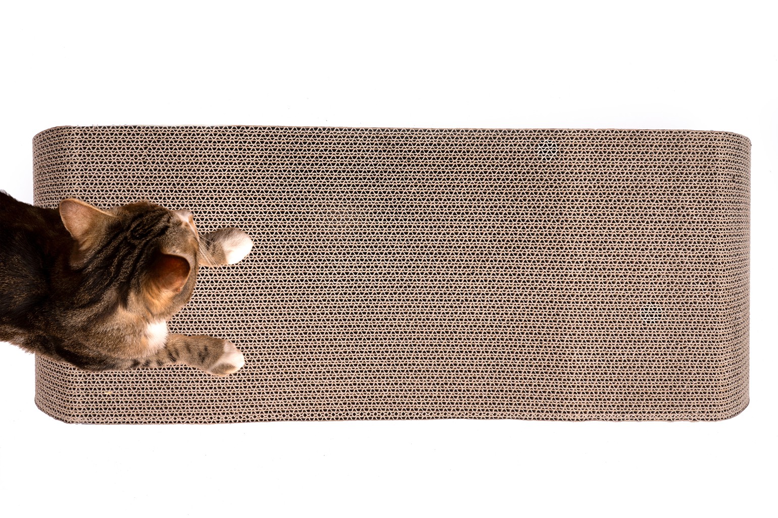 DRAPAK DLA KOTA TEKTUROWY DUŻY legowisko do drapania LEŻAK KARTONOWY