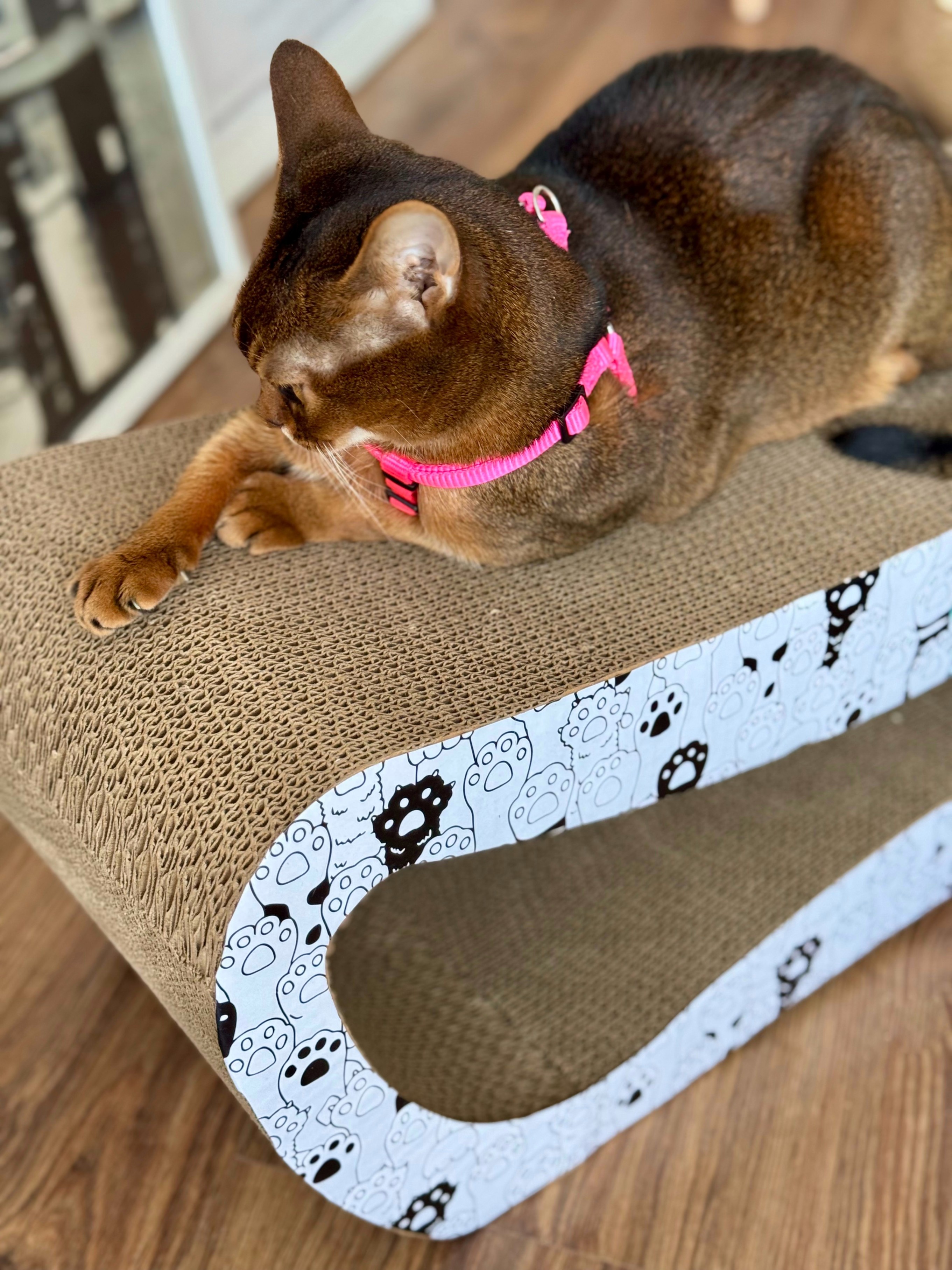 DRAPAK DLA KOTA TEKTUROWY DUŻY legowisko do drapania LEŻAK KARTONOWY