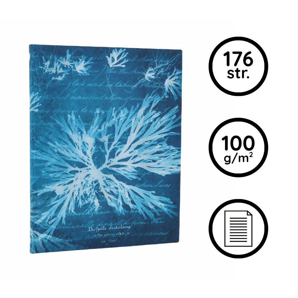 Notatnik Paperblanks Sea Flowers