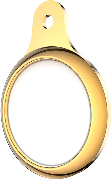 ERSATS-006 Guld Etui til APPLE AIRTAG