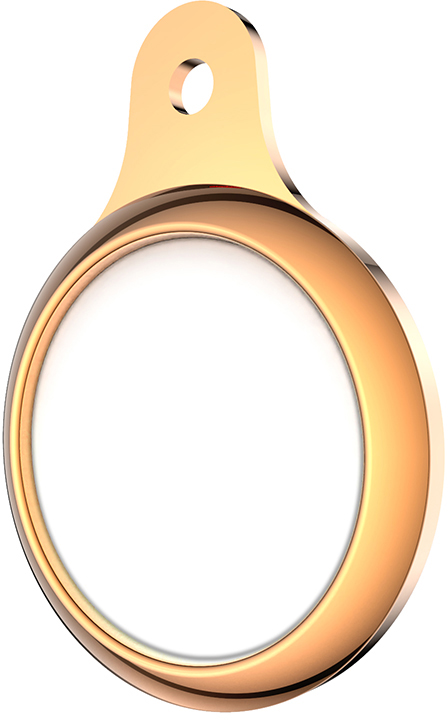 ERSATS-006 Oro rosa Custodia per APPLE AIRTAG