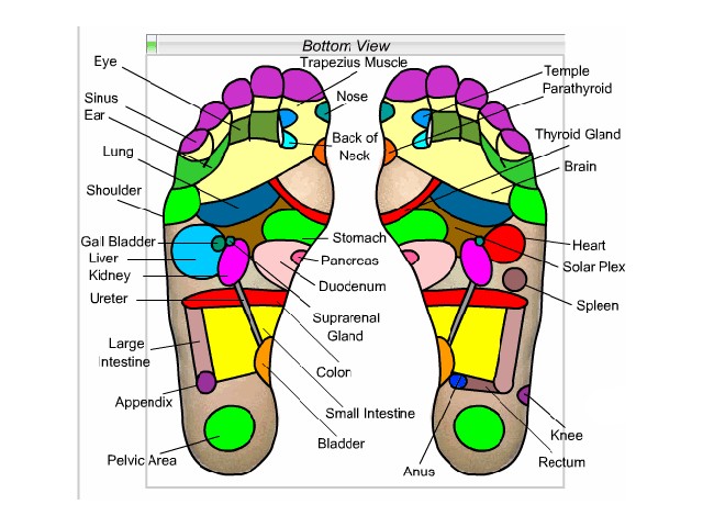 Plastry na stopy DETOX odchudzające AIKIDO kinoki