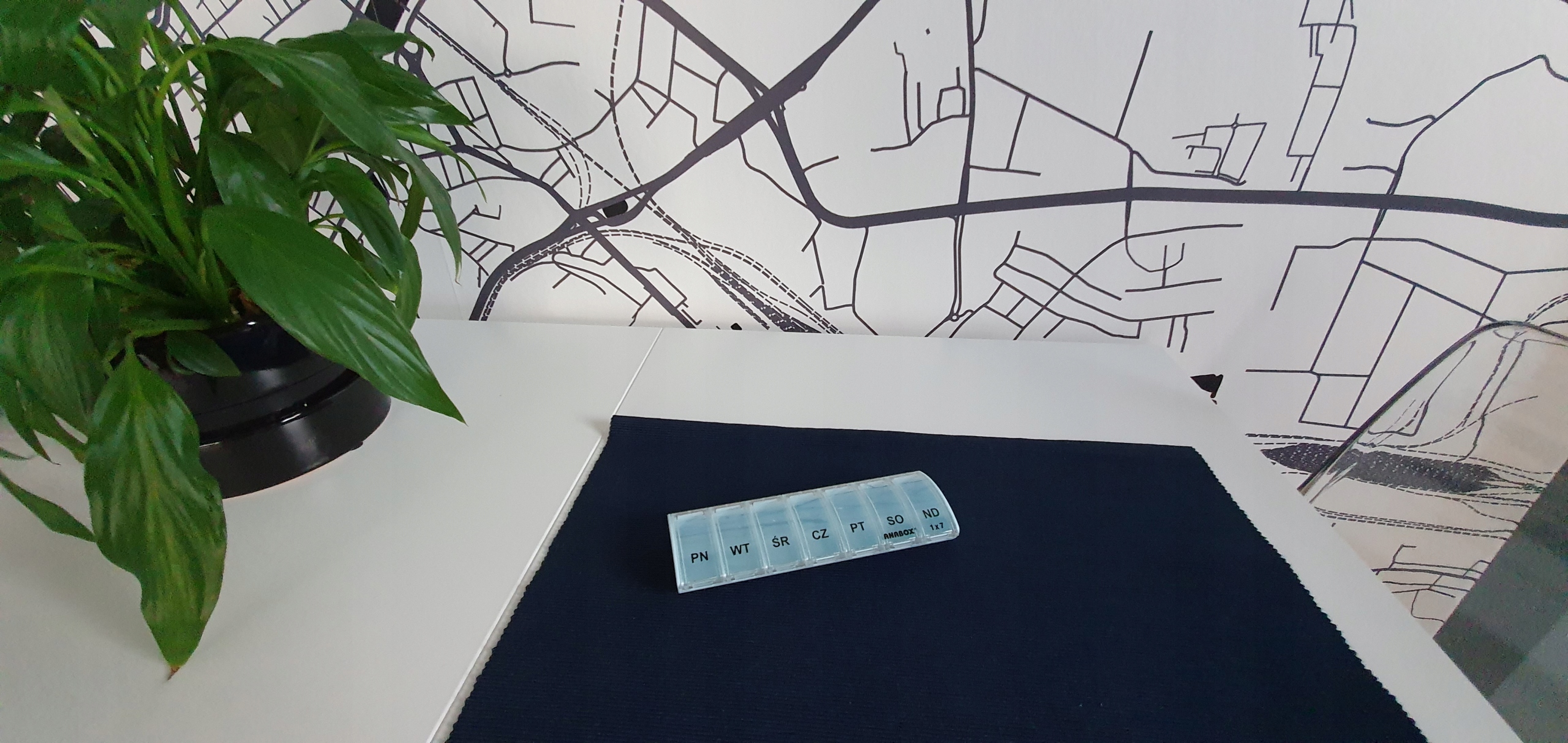 Pudełko pojemnik na tabletki leki ORGANIZER anabox