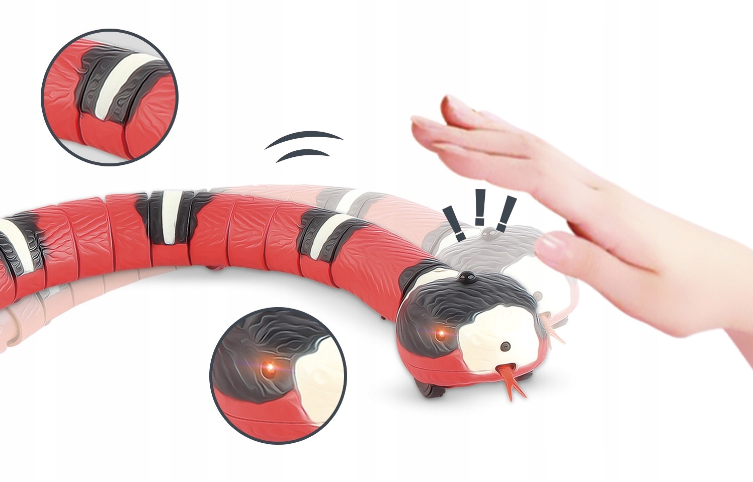 a hand reaching out to a toy snake
