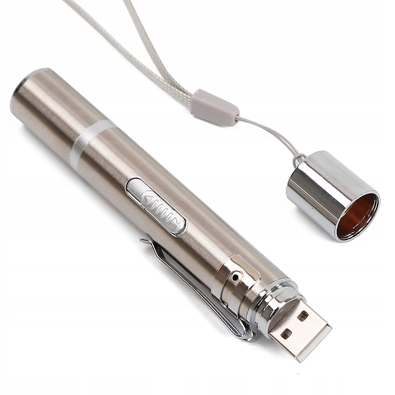 LASER WSKAŹNIK LASEROWY LATARKA ZABAWKA KOTA Ładowany przes USB