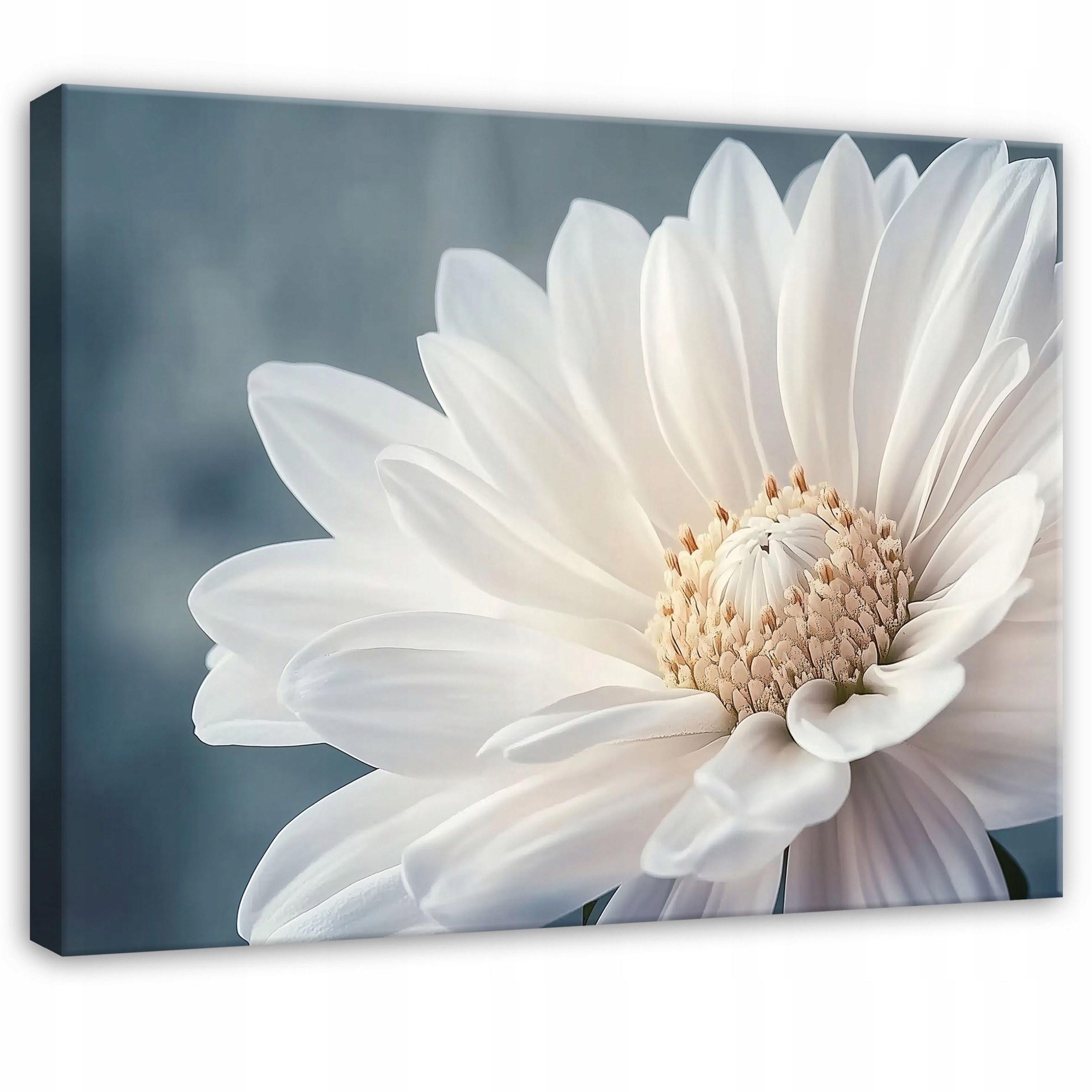 tablouri canvas