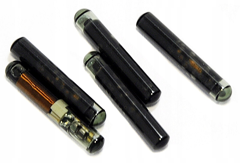 26131976_1.jpg
