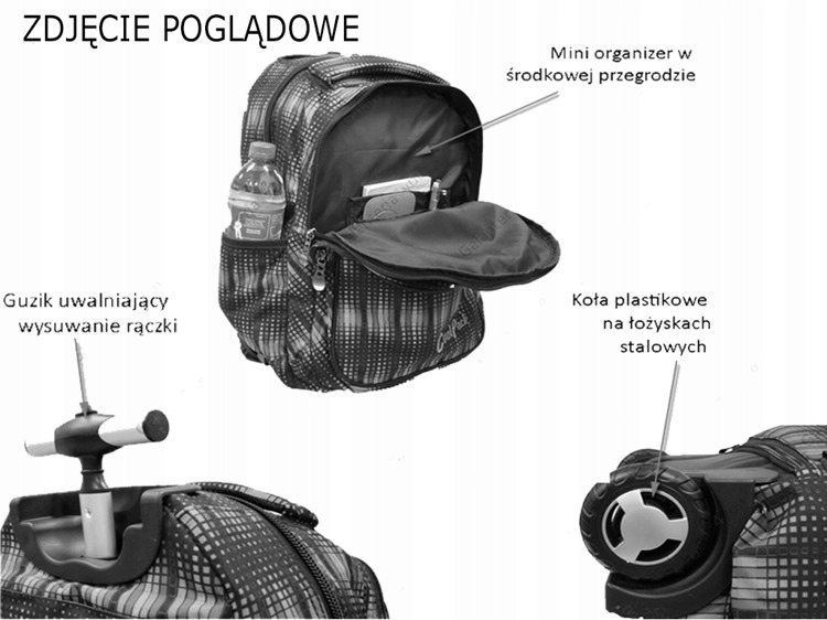 3875049_4.jpg