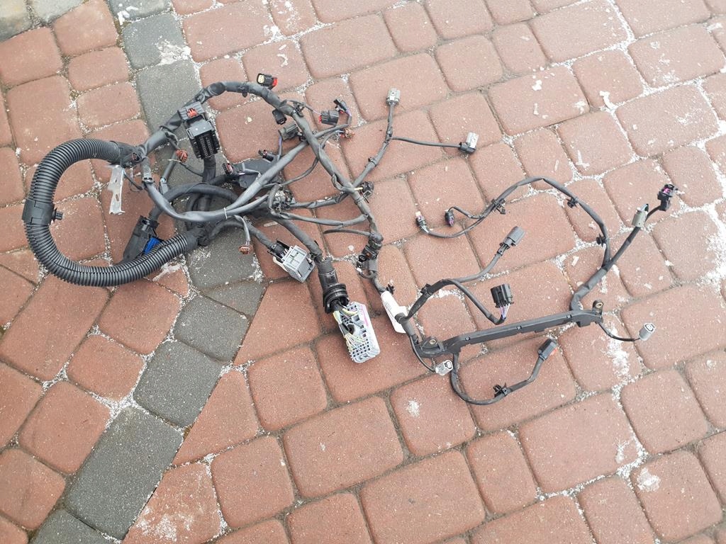 a43ccf3146e2ac5db5ee921c309b