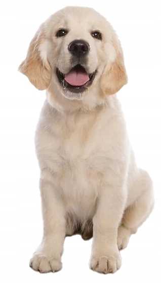 Неизвестно изображение