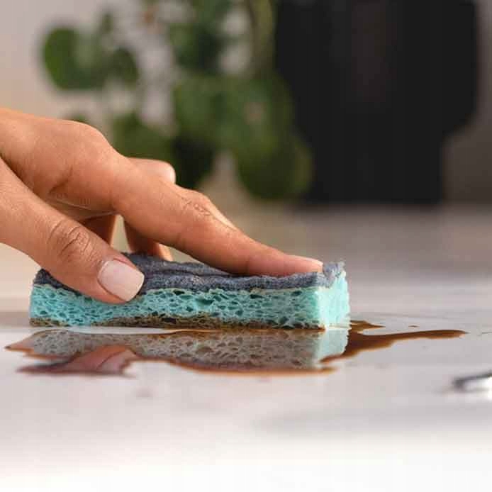 Zmywak wiskozowy z enzymami Vileda Pro Clean 2 szt.