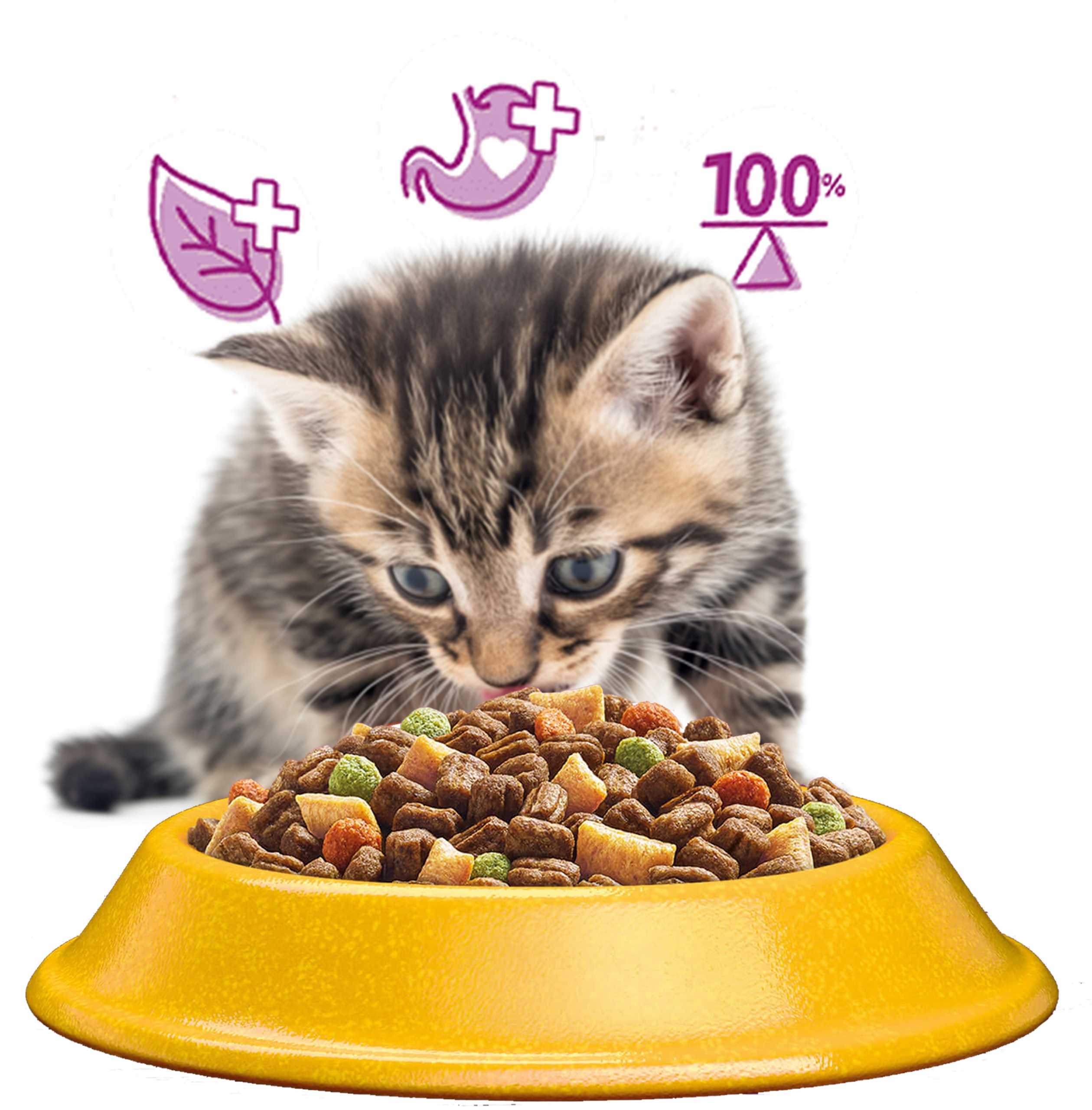 WHISKAS Sucha Kurczak 14kg