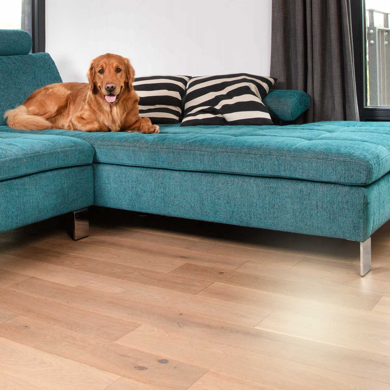 Vileda Pet Pro Wkład do szczotki do sierści i włosów Always Clean