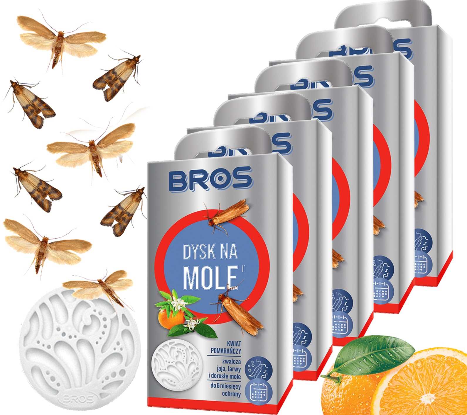 BROS - dysk na mole kwiat pomarańczy - 5 szt.