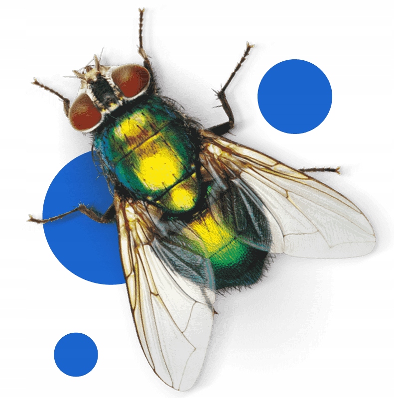 BROS - Spray Do Śmietników 400ml - ZAPAS