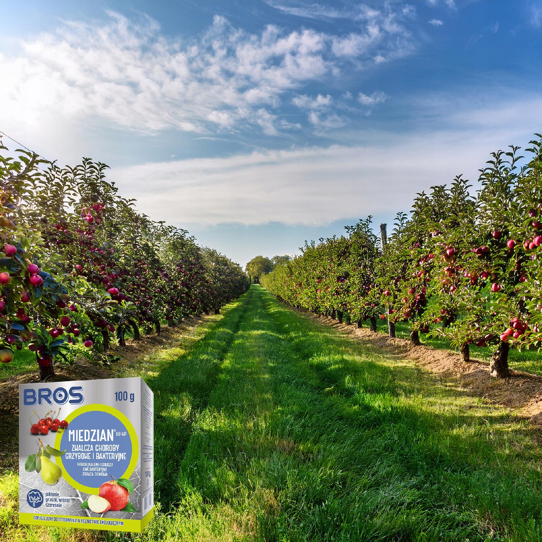 BROS - Miedzian 50WP 100g