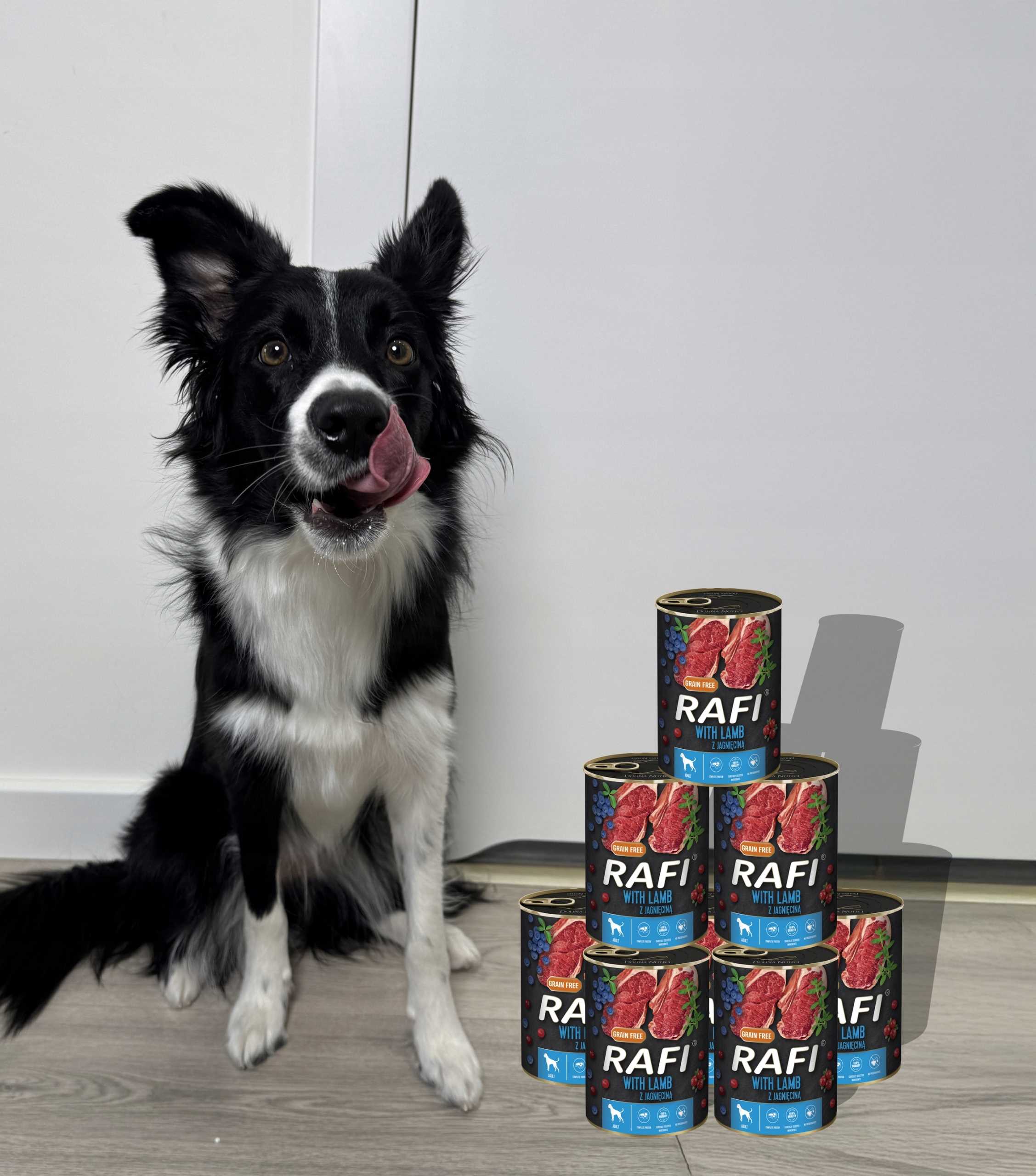 Karma Mokra Dla Psów RAFI z Jagnięciną, Borówką i Żurawiną 400g - 1 szt.