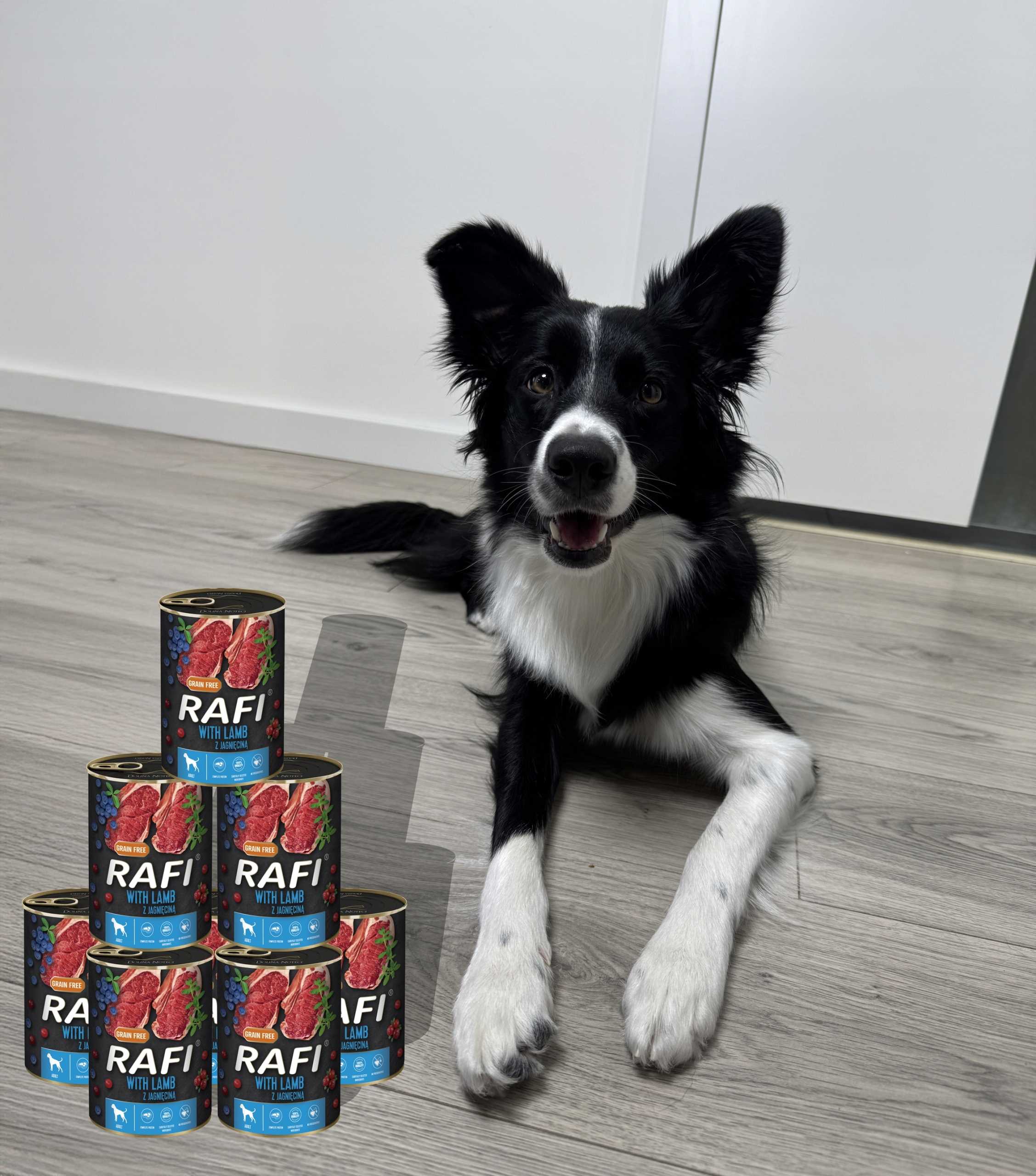 Karma Mokra Dla Psów RAFI z Jagnięciną, Borówką i Żurawiną 400g - 12 szt.