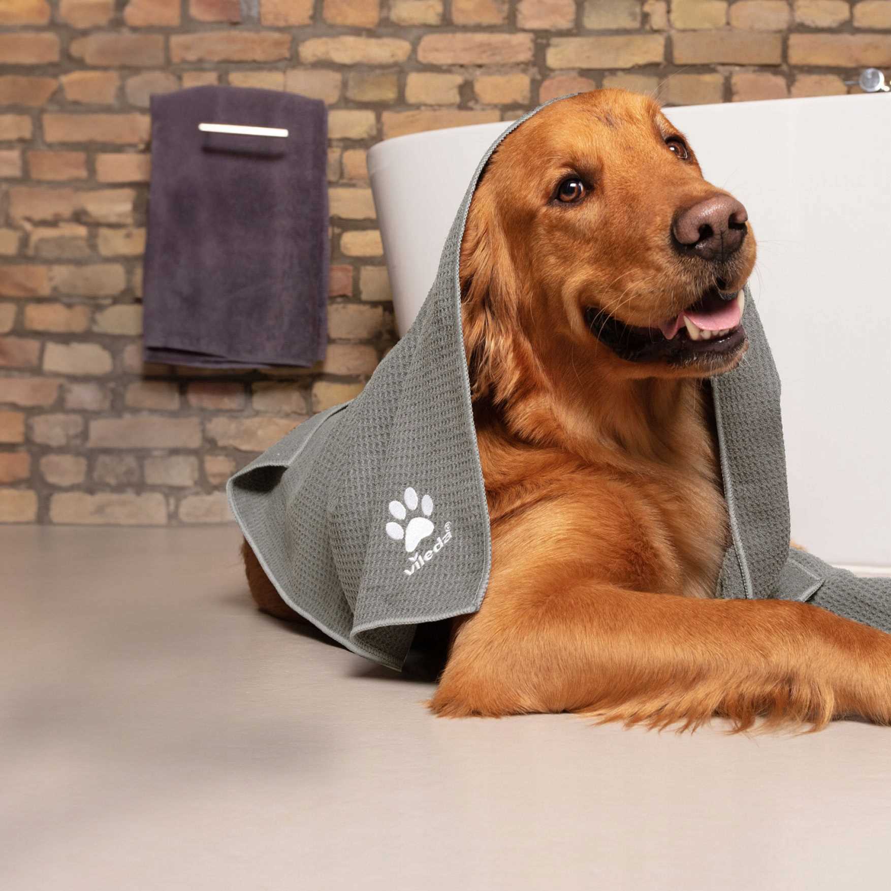 Vileda Pet Pro Ręcznik z mikrofibry M